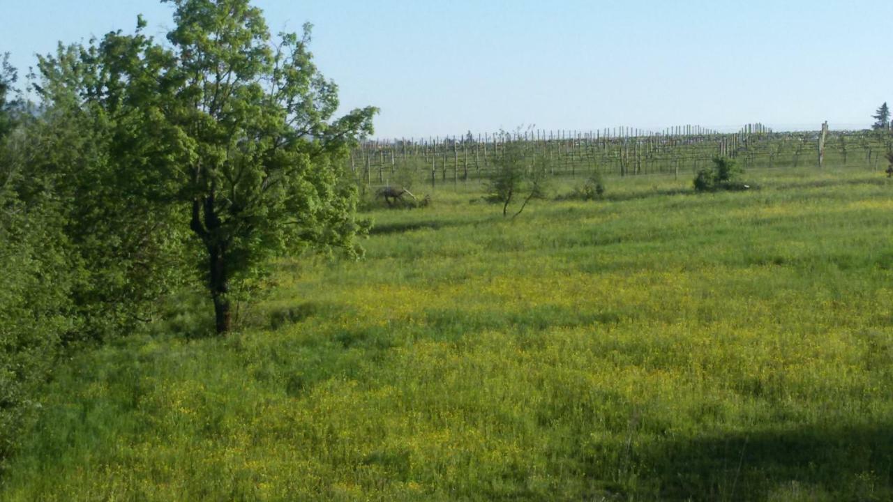 Casa Nel Bosco Bed & Breakfast Reggio Emilia Bagian luar foto